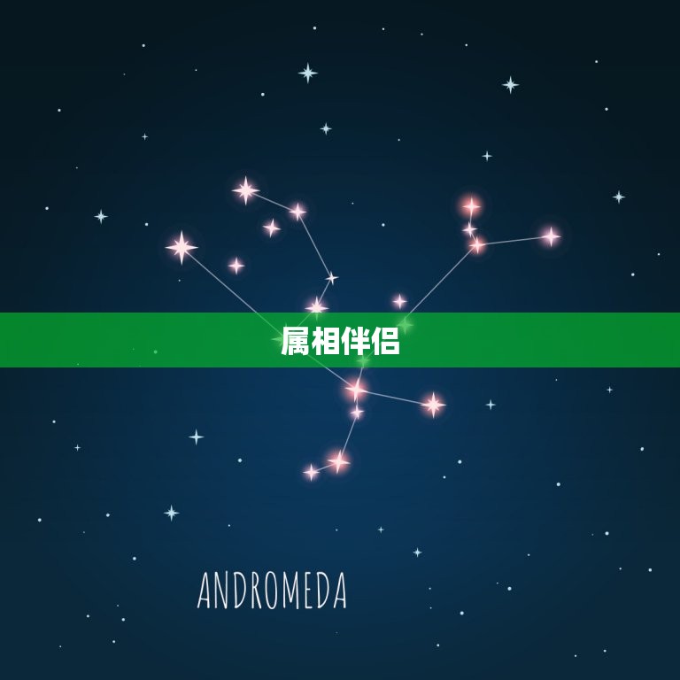 属龙男配偶的属相(如何选择最合适的伴侣)  第2张