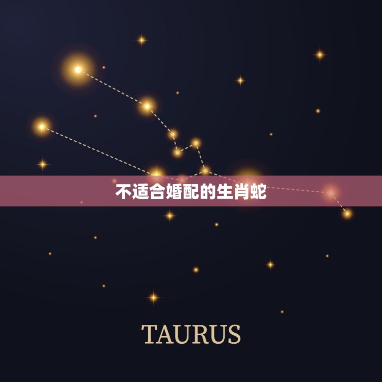 属虎人最不适合的婚配(避免与这些生肖的人结婚)  第2张