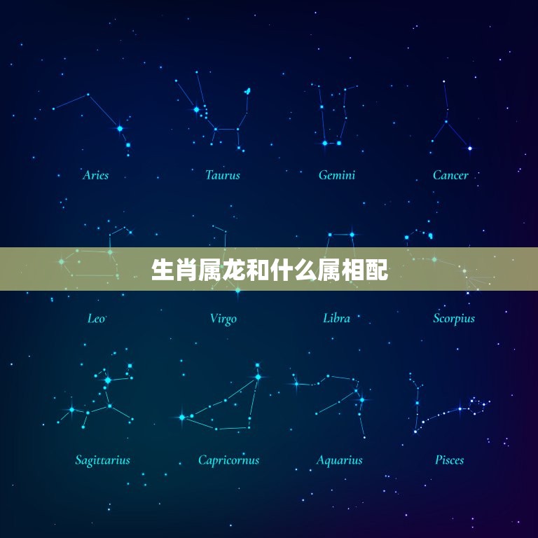 生肖属龙和什么属相配(配对大介绍)  第3张