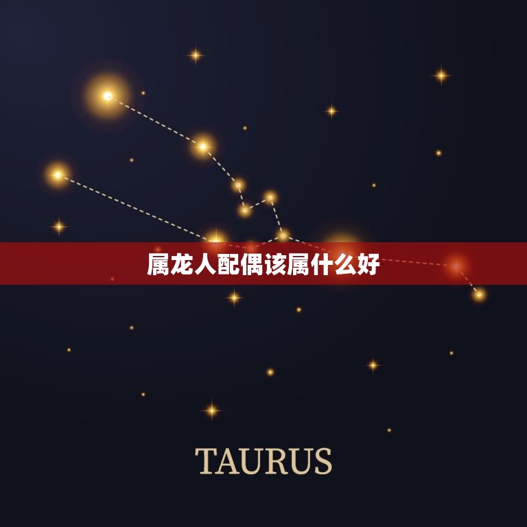 属龙人配偶该属什么好(如何选择配偶)  第3张