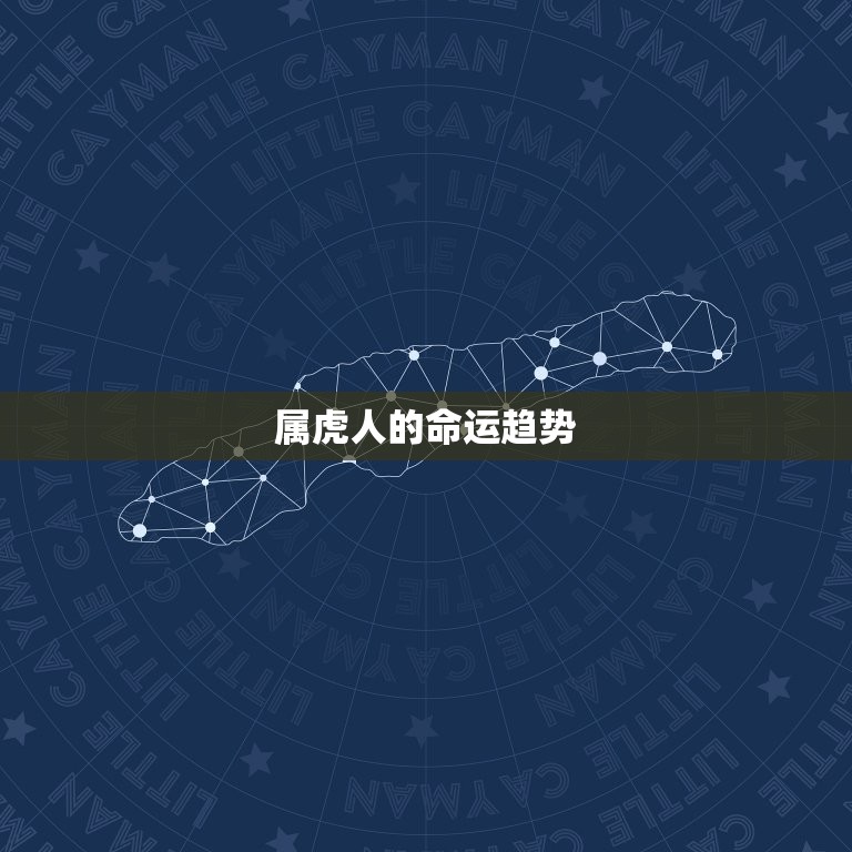 属虎的是哪年出生的人(了解属虎人的性格特点和命运趋势)  第2张