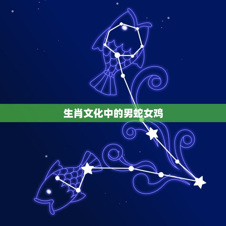 男蛇女鸡为何说是绝配(介绍为什么这两个生肖如此契合)