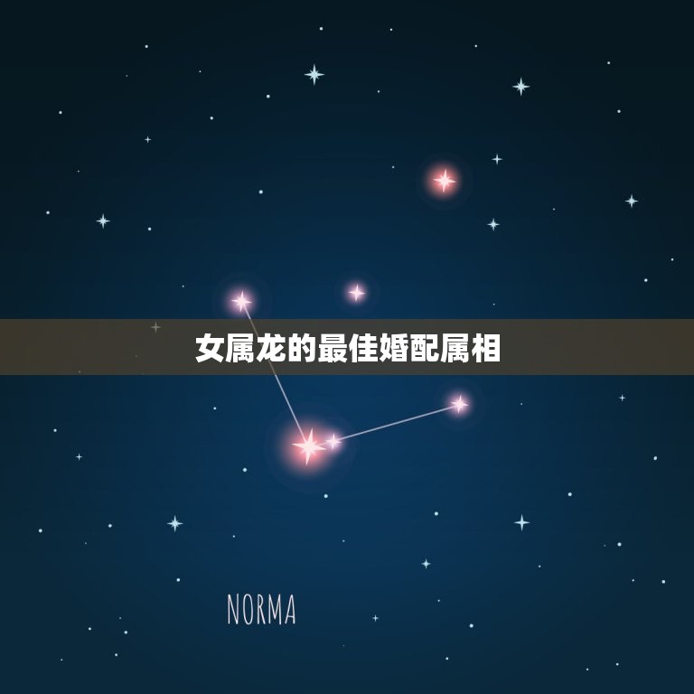 女属龙的婚配属相(如何选择)  第3张
