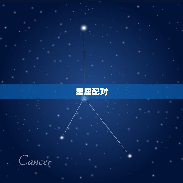 女龙配什么属相好婚姻(如何选择配偶)