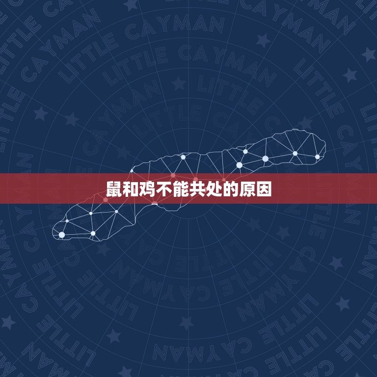 鼠和鸡在一起对谁不利(为什么这两个生肖不能共处)  第2张