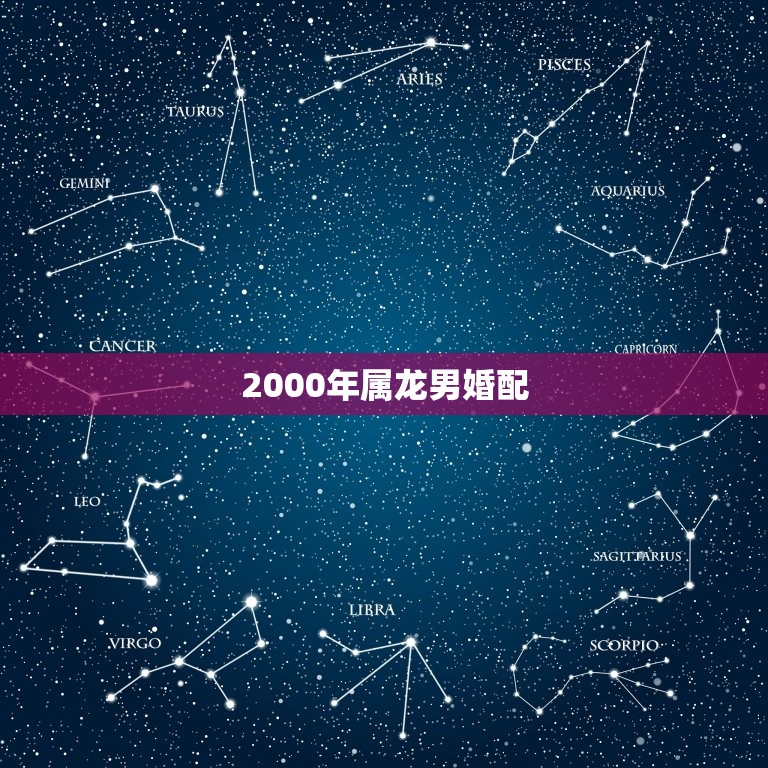 2000年属龙男婚配(如何选择配偶)  第3张