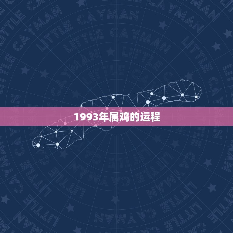1993年属鸡的运程(如何在新的一年里迎接好运)  第3张