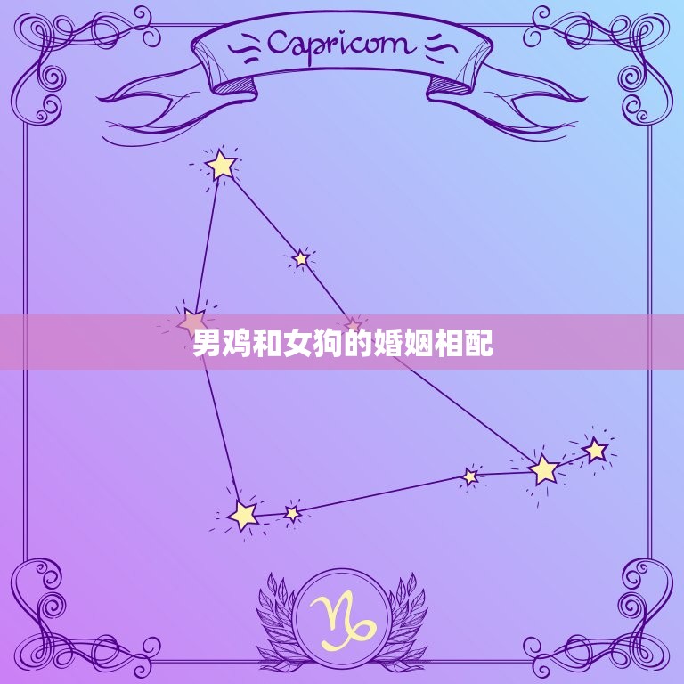 男鸡和女狗婚姻相配吗(讨论动物婚姻是否存在)  第2张