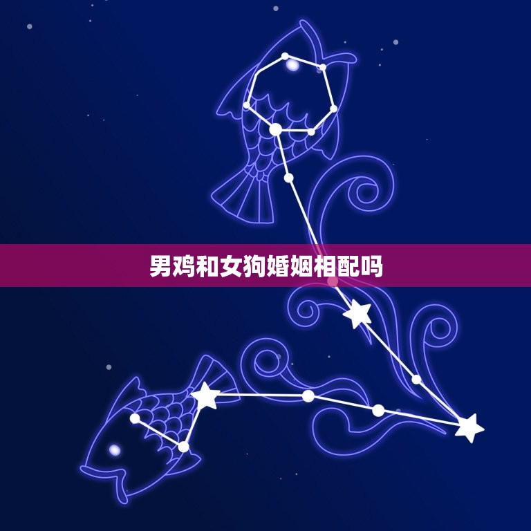 男鸡和女狗婚姻相配吗(讨论动物婚姻是否存在)  第3张