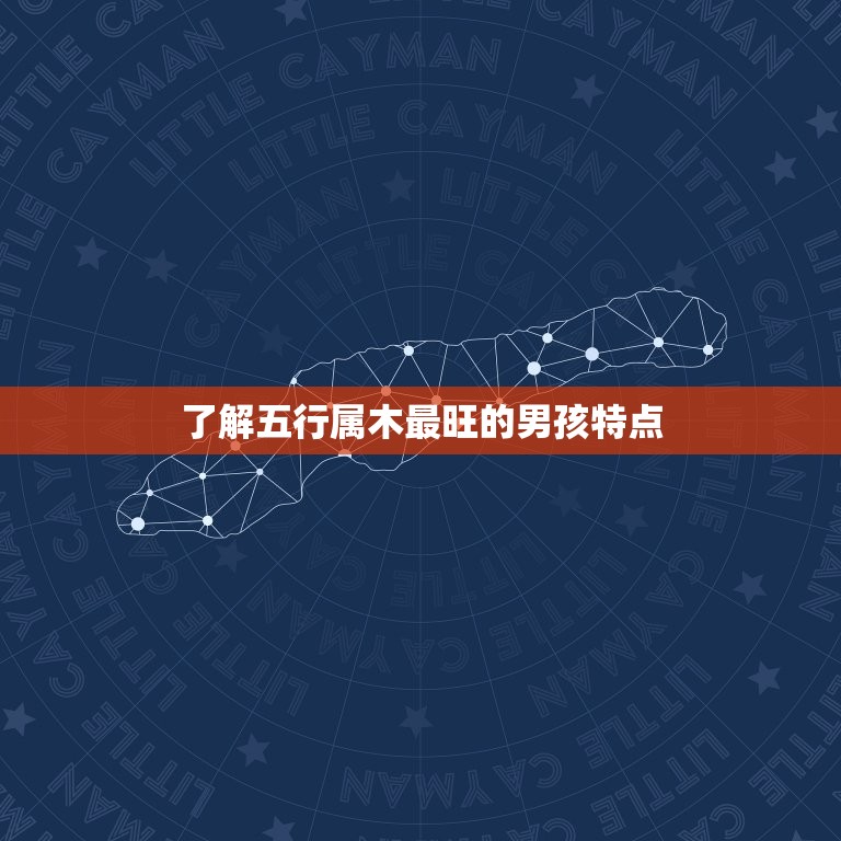 五行属木最旺的字男孩(如何选择适合的名字)  第1张