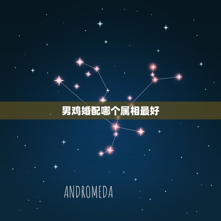 男鸡婚配哪个属相(介绍配偶属相大介绍)  第3张