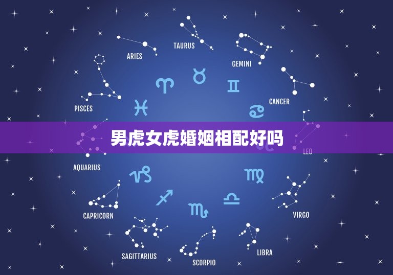 男虎女虎婚姻相配好吗(讨论虎配虎是福是祸)  第3张