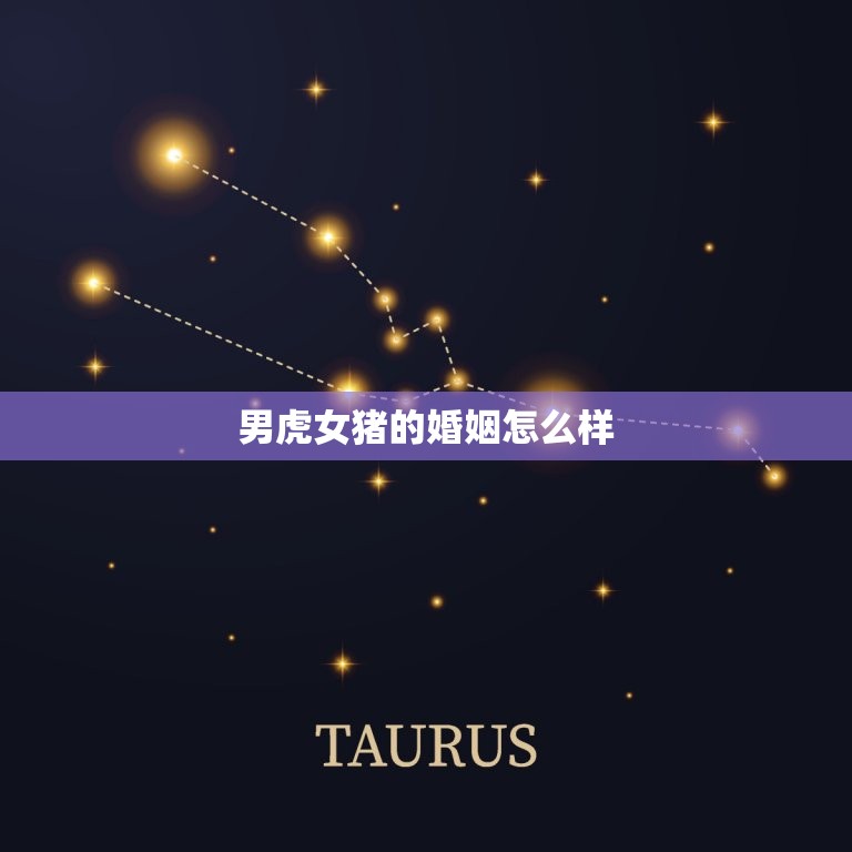 男虎女猪的婚姻怎么样(幸福美满的方法)  第3张
