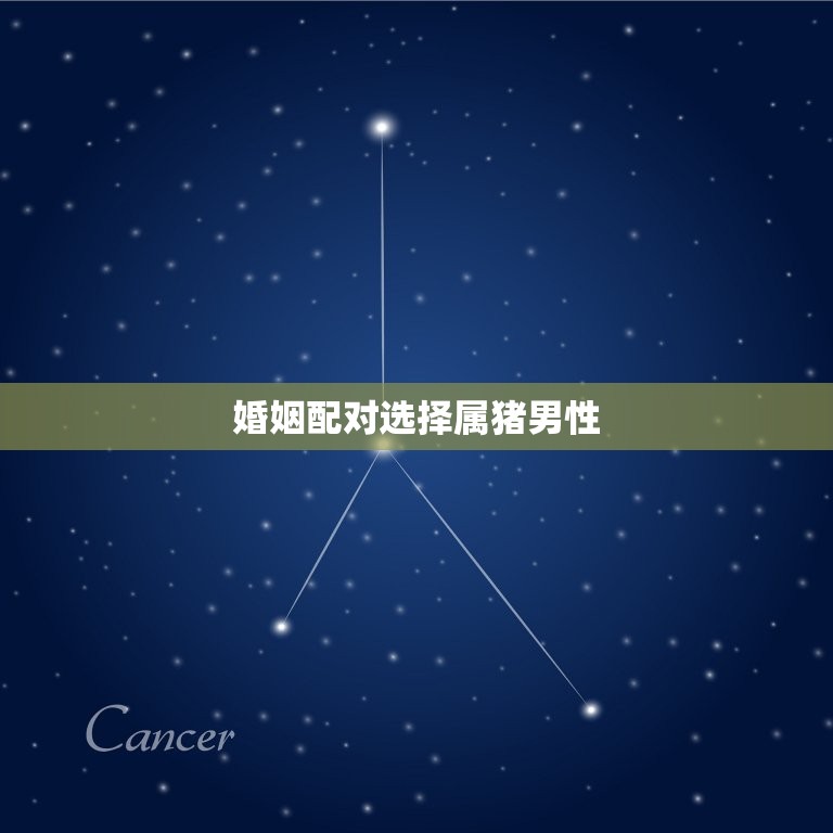 属兔的婚姻配对女(如何选择最适合你的伴侣)  第2张