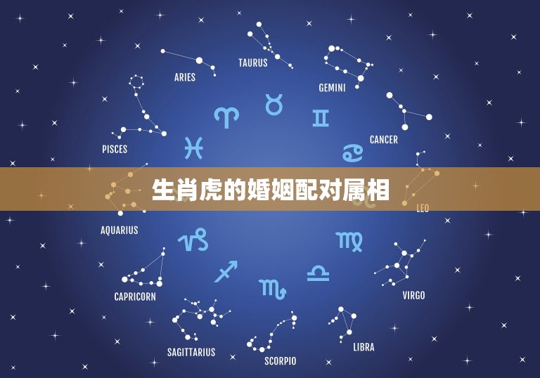 生肖虎的婚姻配对属相(组合大介绍)  第3张