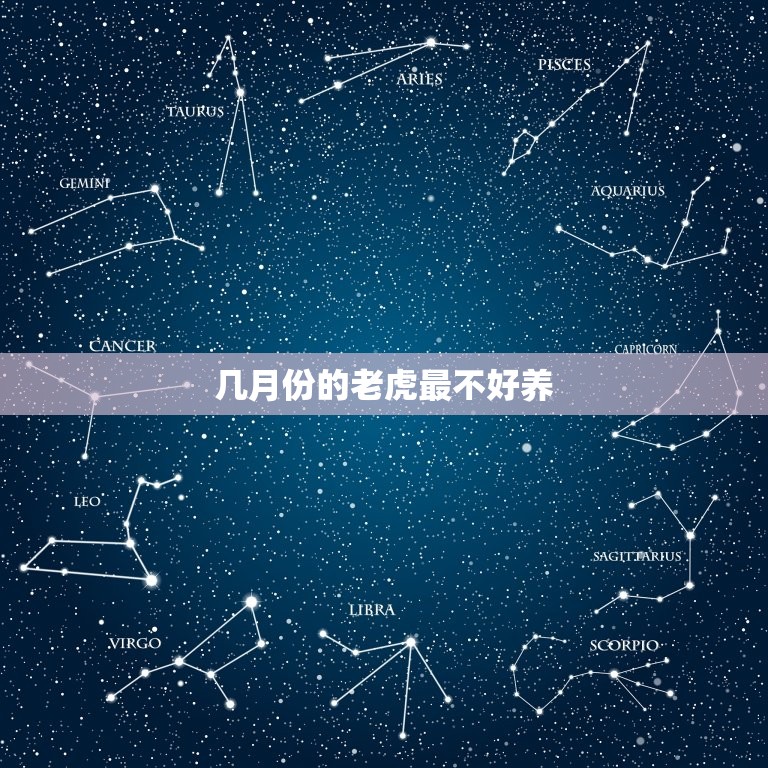 几月份的老虎最不好养(如何避免老虎养殖中的风险)  第2张