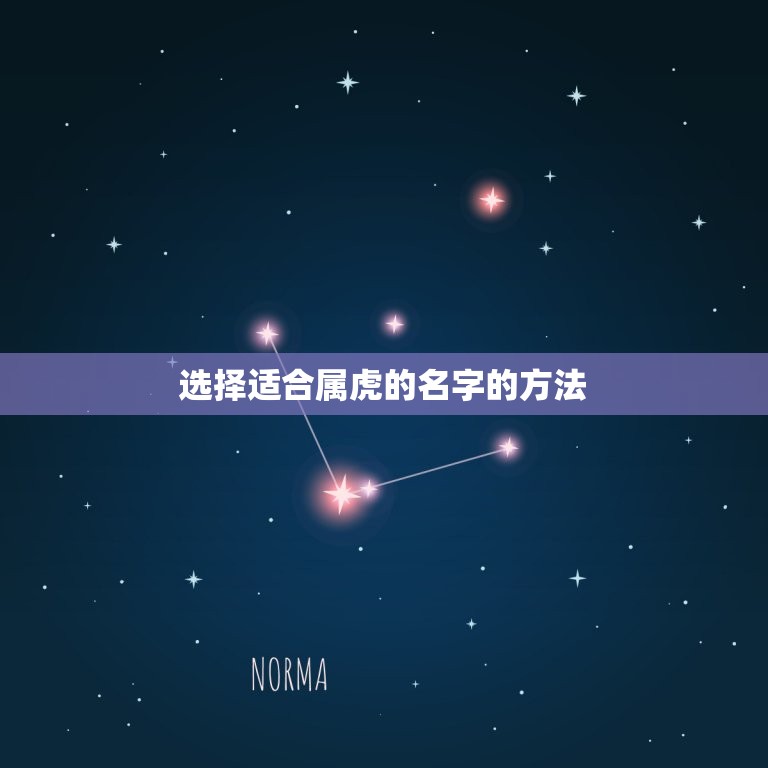 属虎取名字用什么字好(如何选择适合属虎的名字)  第2张
