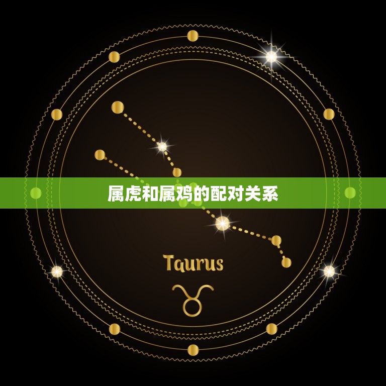 属虎和属鸡的能结婚吗(介绍属相配对的秘密)  第2张