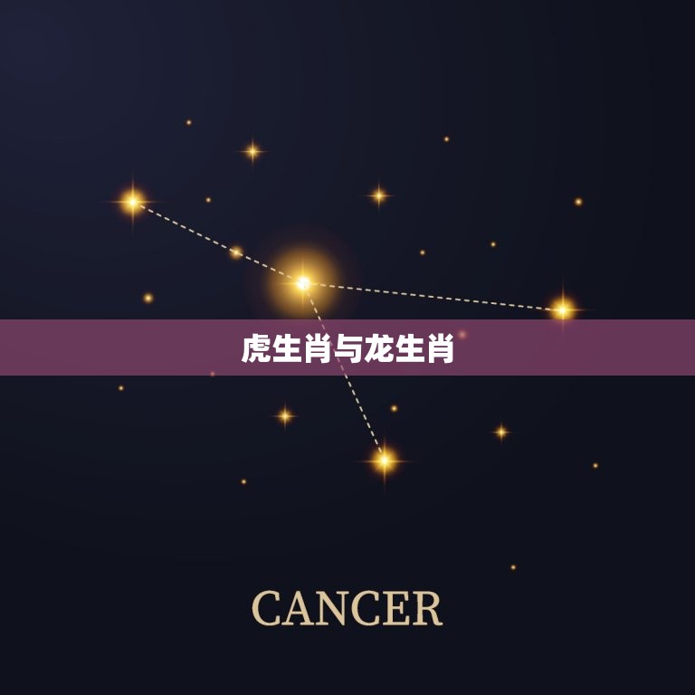 虎生肖与什么生肖相配(配对指南)  第2张