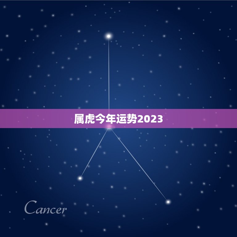 属虎今年运势2023(猛虎崛起财运亨通)  第3张