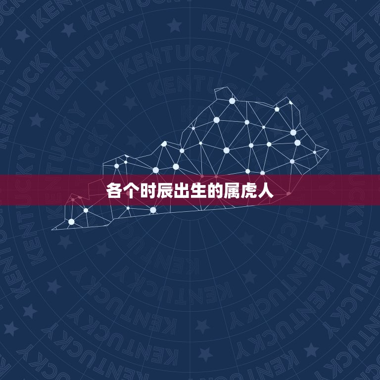 各个时辰出生的属虎人(命运大介绍)  第3张