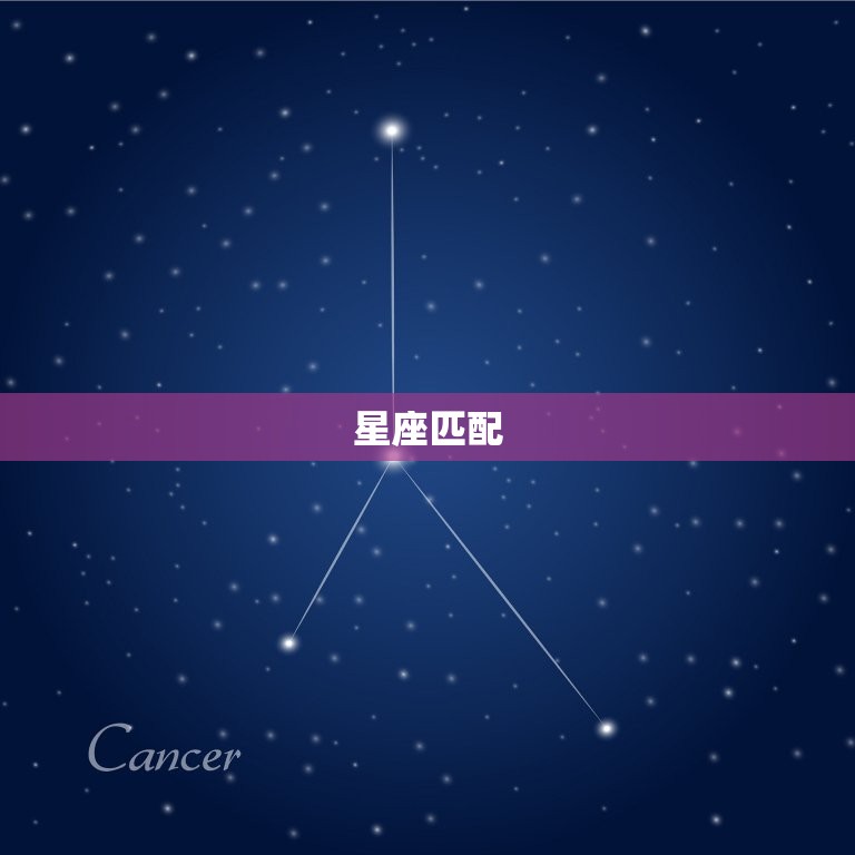 91年属猴的婚配(如何选择最合适的伴侣)