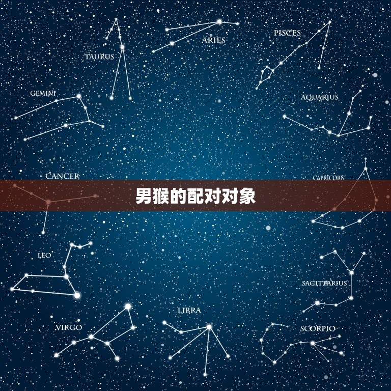 男猴最配的属相是什么(介绍十二生肖中配对)  第2张