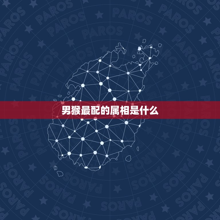 男猴最配的属相是什么(介绍十二生肖中配对)  第3张