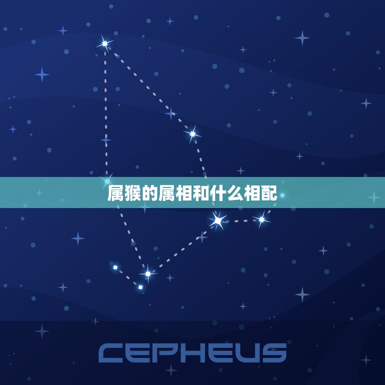 属猴的属相和什么相配(猴年大吉配对指南来袭)  第3张