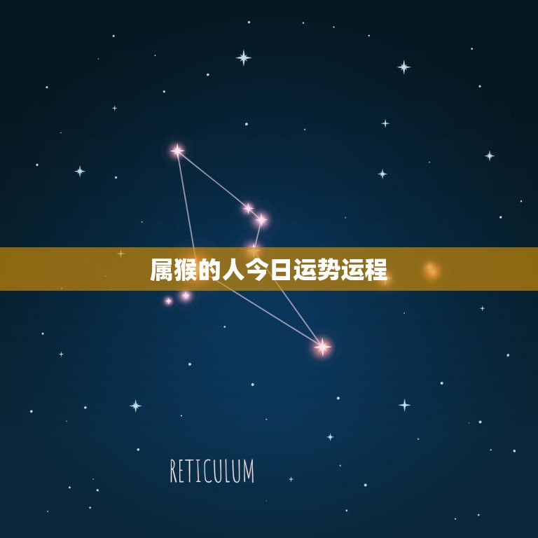 属猴的人今日运势运程(快乐与财富齐飞)  第3张