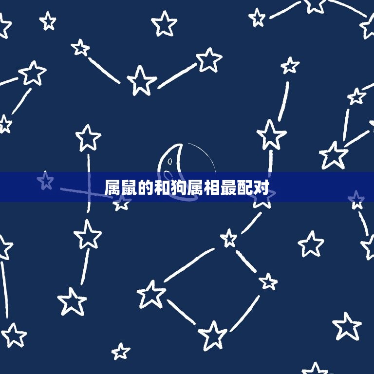 属鼠的和狗属相最配对(十二生肖中组合)  第3张