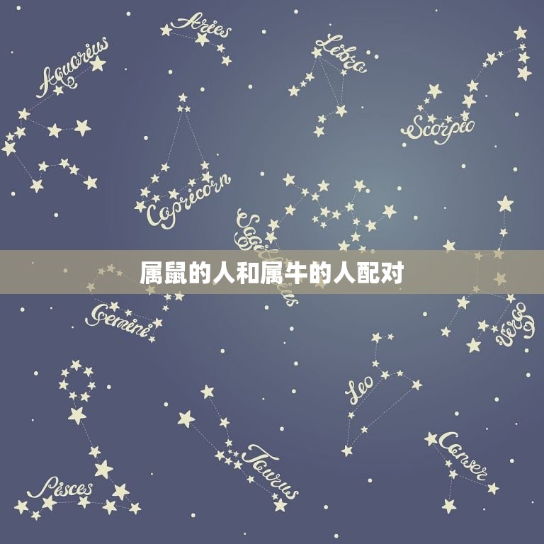 属鼠的人和什么属相合(配对你知道吗)  第1张