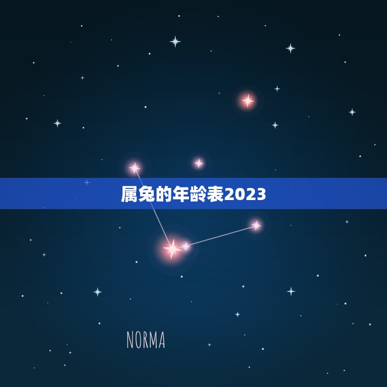 属兔的年龄表2023(兔年生肖人士的年龄计算方法)  第3张
