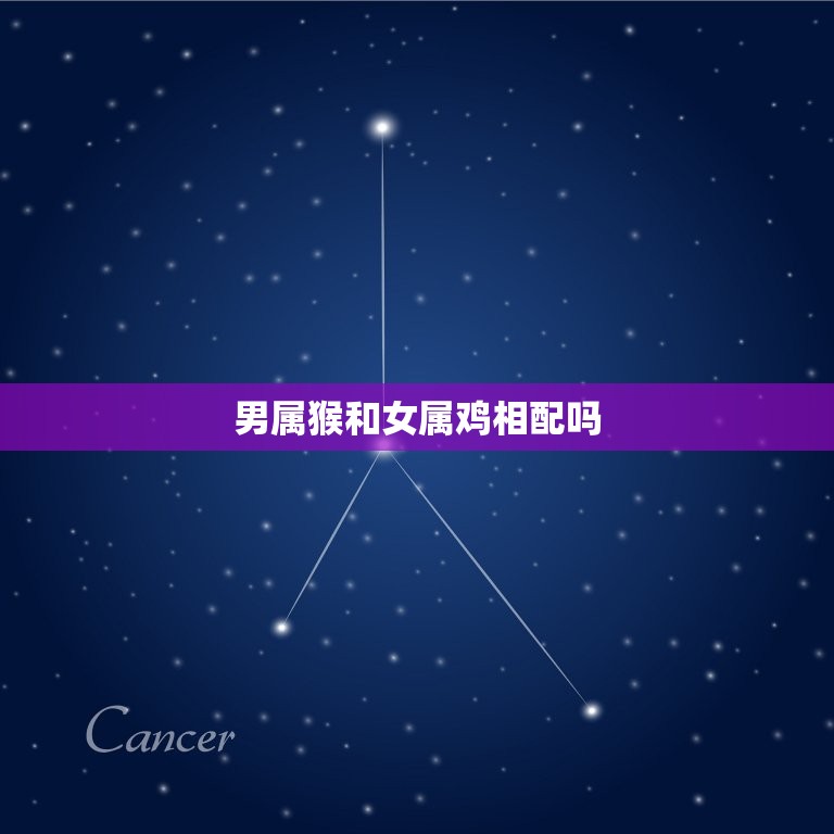 男属猴和女属鸡相配吗(星座配对分析)  第3张