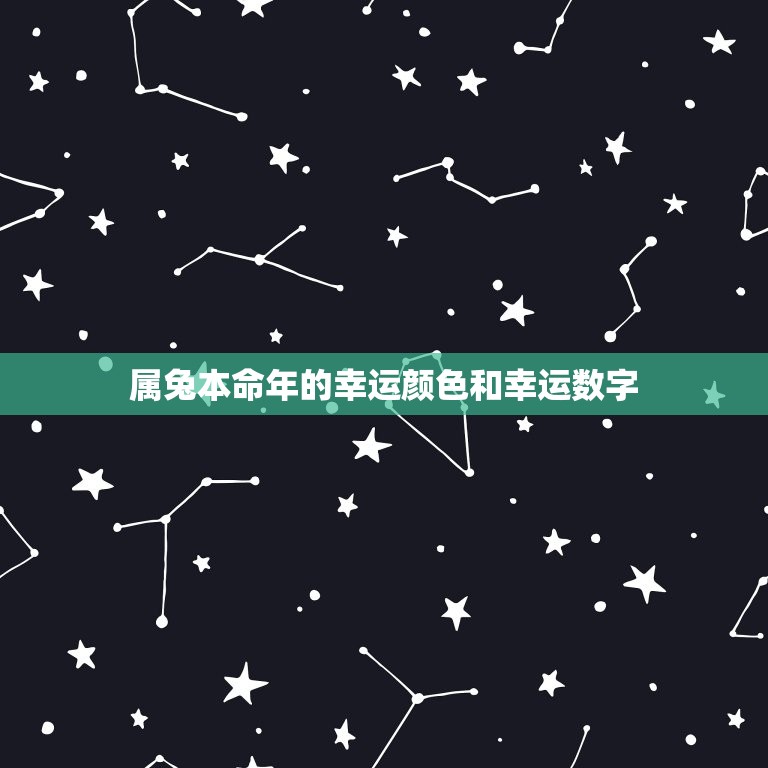 属兔本命年2023年(兔子们的幸运之年)  第2张