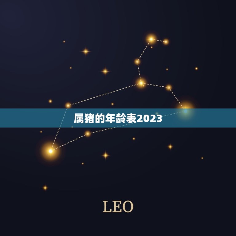 属猪的年龄表2023(猪年将至你的年龄对应几岁)  第3张