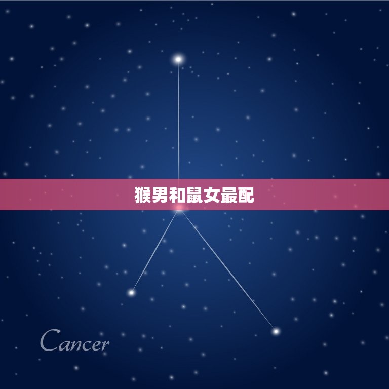 猴男和什么属相最配对(十二生肖配对大介绍)  第1张