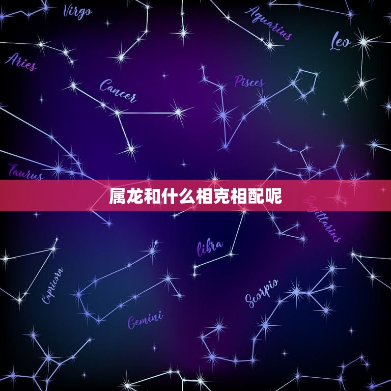 属龙和什么相克相配呢(探寻属龙人的配对)  第3张