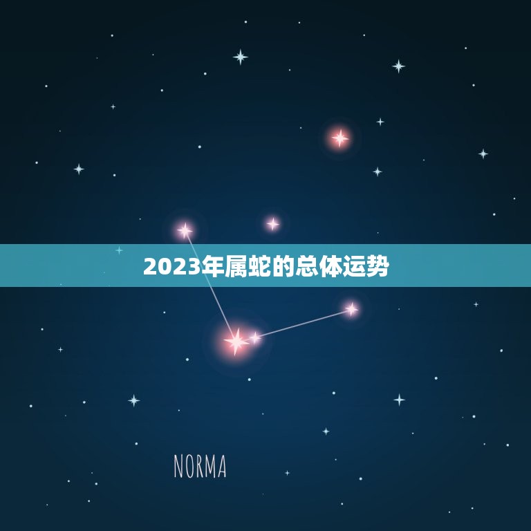 2023年属蛇很惨吗(介绍属蛇人的2023运势如何)  第1张