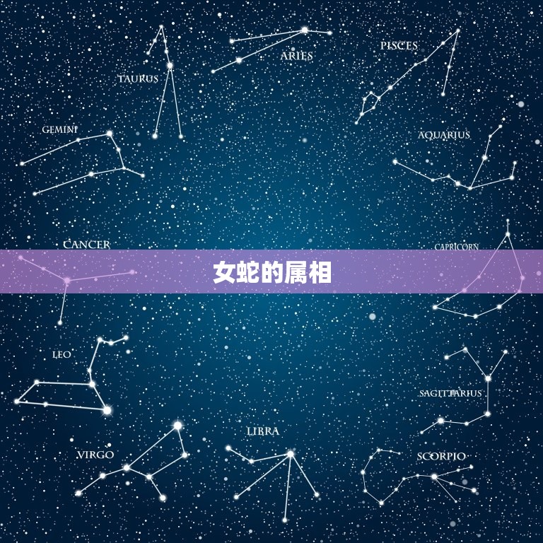 女蛇的属相是什么(介绍哪个属相最能与女蛇相得益彰)  第2张