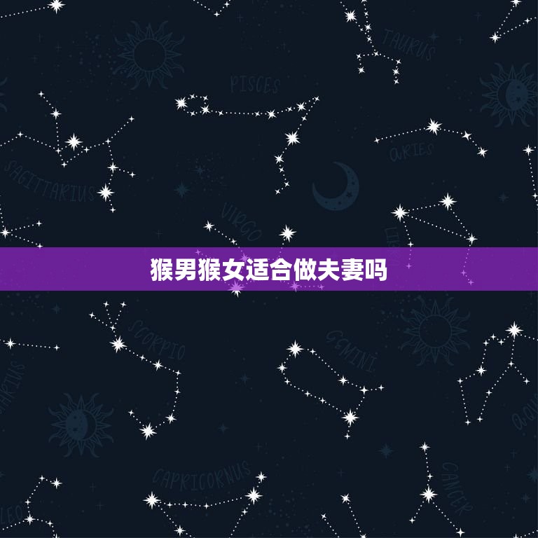 猴男猴女适合做夫妻吗(讨论猴年生肖配对的奥秘)  第3张