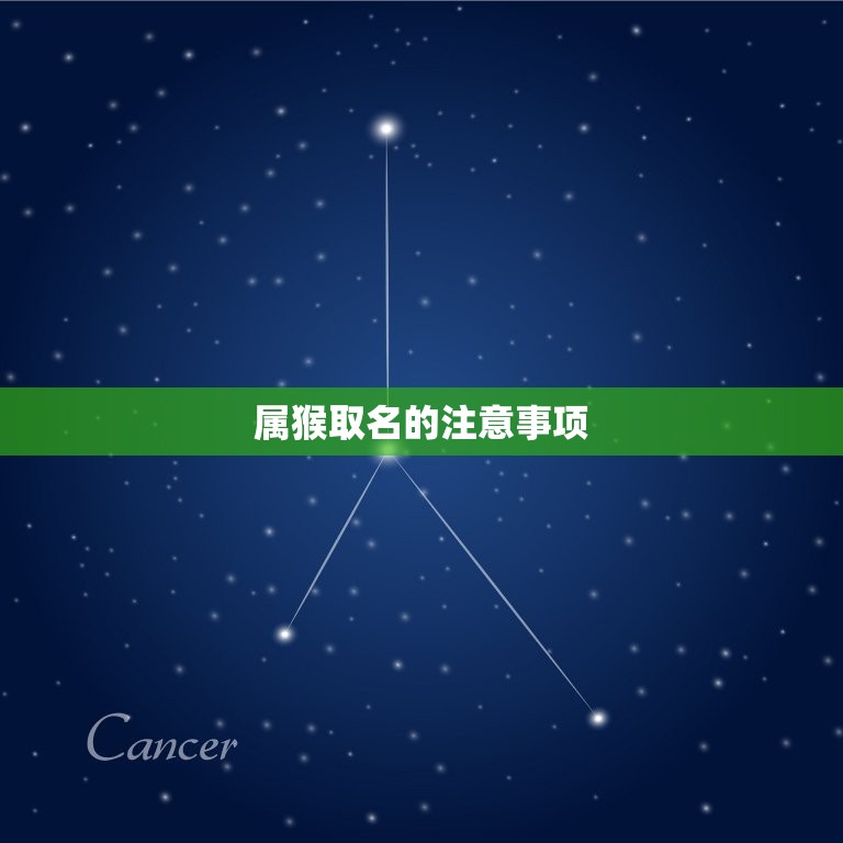 属猴取名忌讳用什么字(如何为猴宝宝取名)  第2张