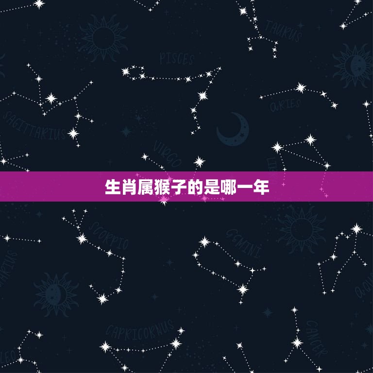 生肖属猴子的是哪一年(猴年生肖介绍)  第3张