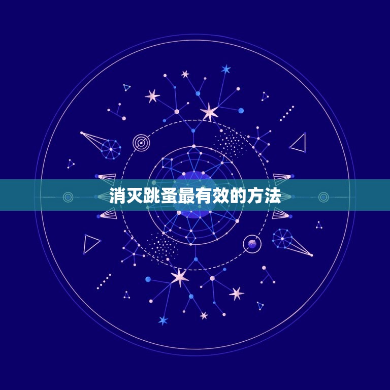 消灭跳蚤最有效的方法(无毒、环保、高效的跳蚤控制方法)  第3张