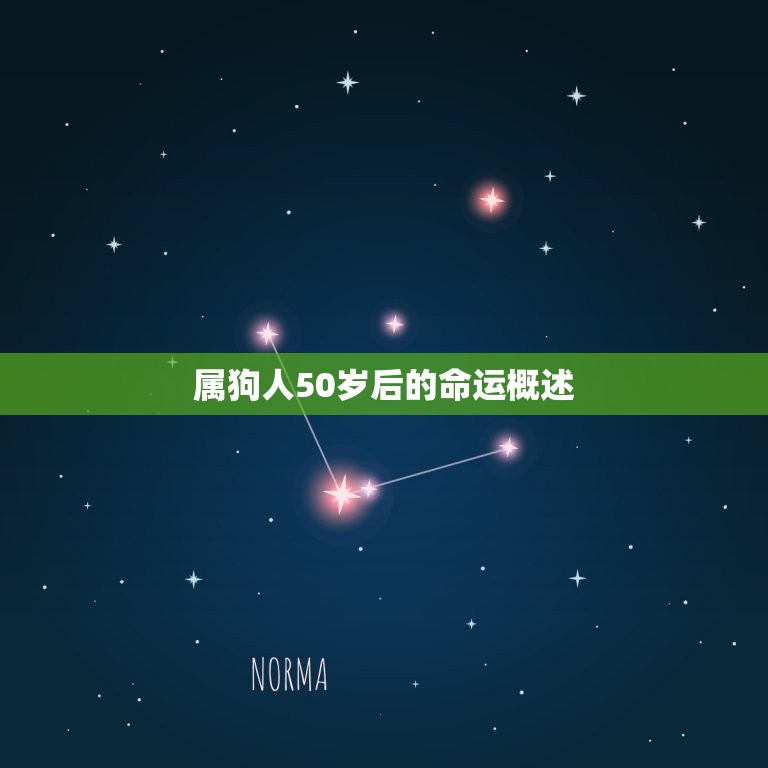 属狗人50岁后的命运(如何转运)