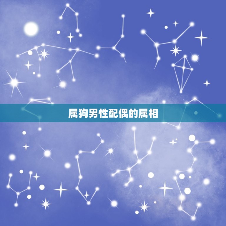 男属狗配什么属相(如何选择配偶)  第2张