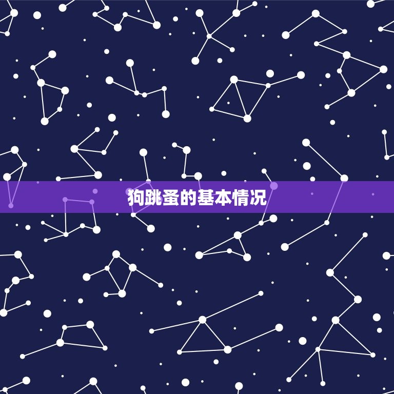 狗生跳蚤会给人传染吗(介绍狗跳蚤传染人的)