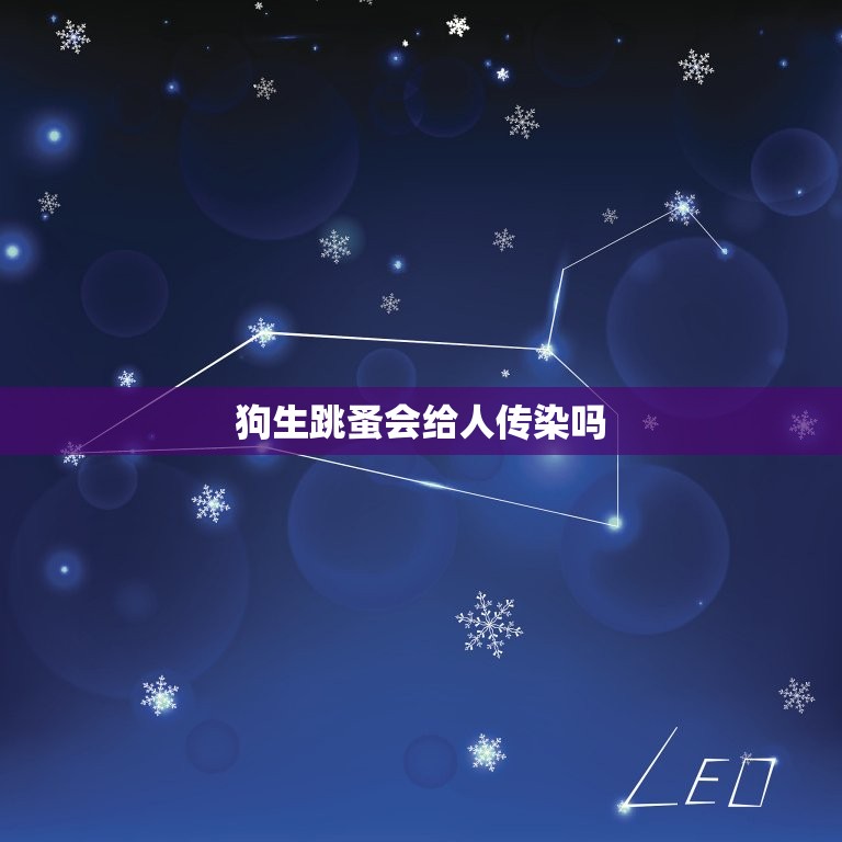 狗生跳蚤会给人传染吗(介绍狗跳蚤传染人的)  第3张