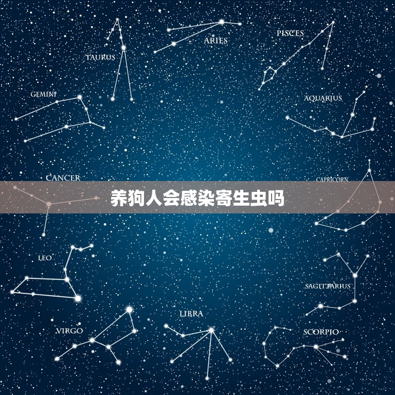 养狗人会感染寄生虫吗(如何预防狗狗传染疾病)  第3张