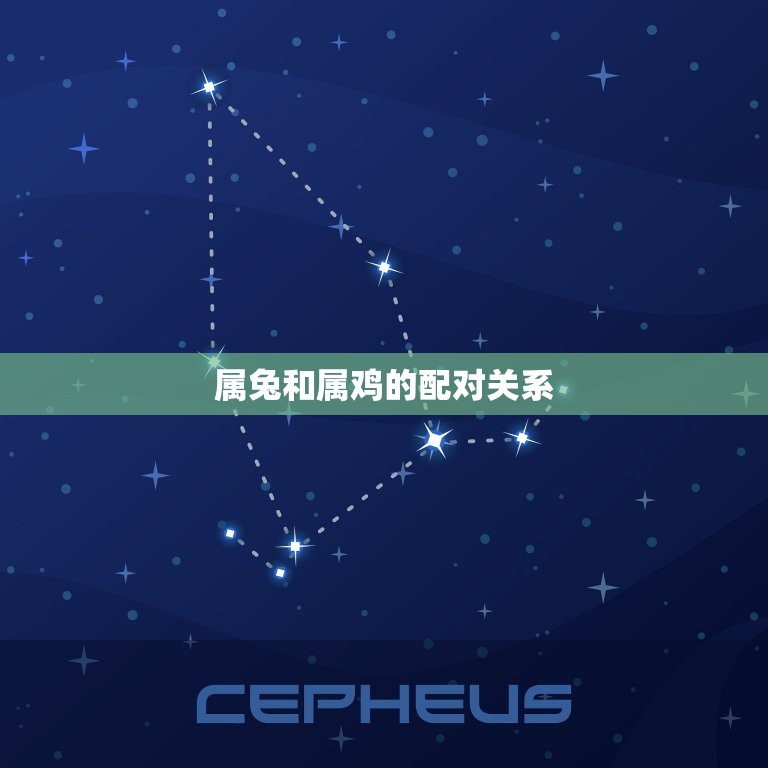 属兔的与属鸡的相配吗(兔鸡配对指南星座专家为你解读)  第2张